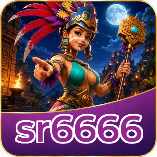 sr6666 APK Structure
