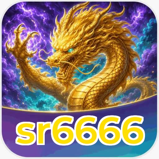 sr6666 Tools
