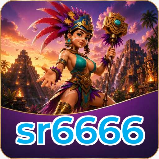 sr6666 Technical Info