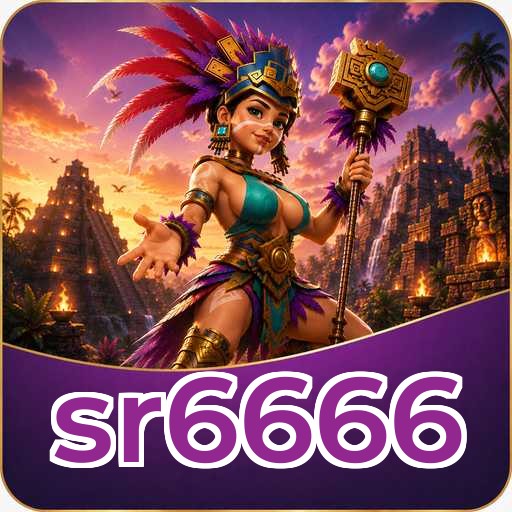 sr6666 Technical Info